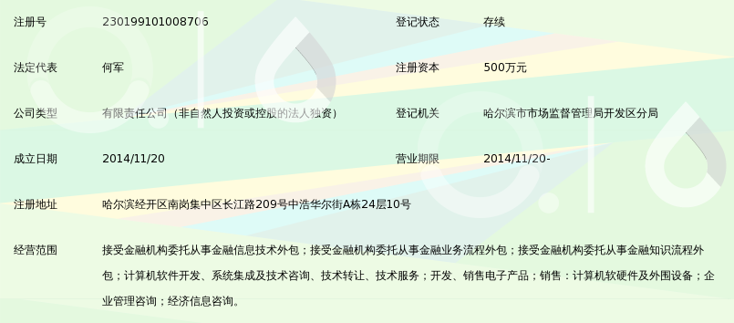 哈爾濱銀雁金融服務外包 專注金融信息技術外包，賦能金融機構數字化轉型